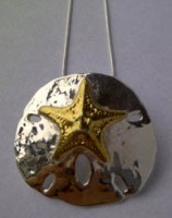 Medium Sandollar Starfish