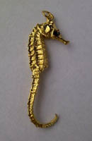 Seahorse with Goldplate